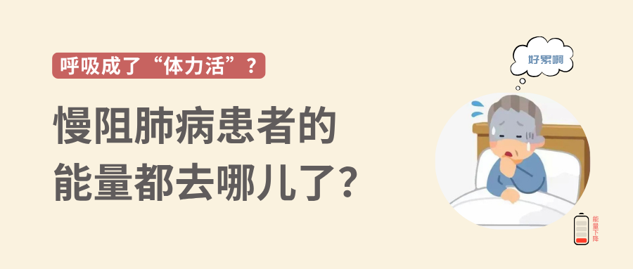 &#66;&#20307;&#32946;&#65288;&#66;&#83;&#112;&#111;&#114;&#116;&#115;&#65289;&#23448;&#26041;&#32593;&#31449;